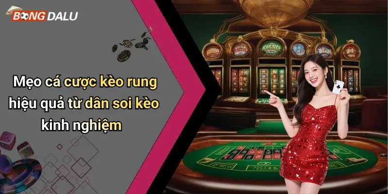 Mẹo cá cược kèo rung hiệu quả từ dân soi kèo kinh nghiệm