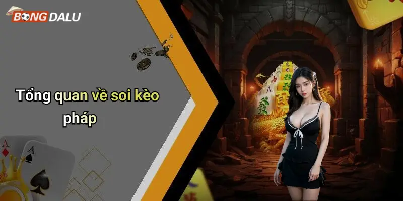 Tổng quan về soi kèo pháp