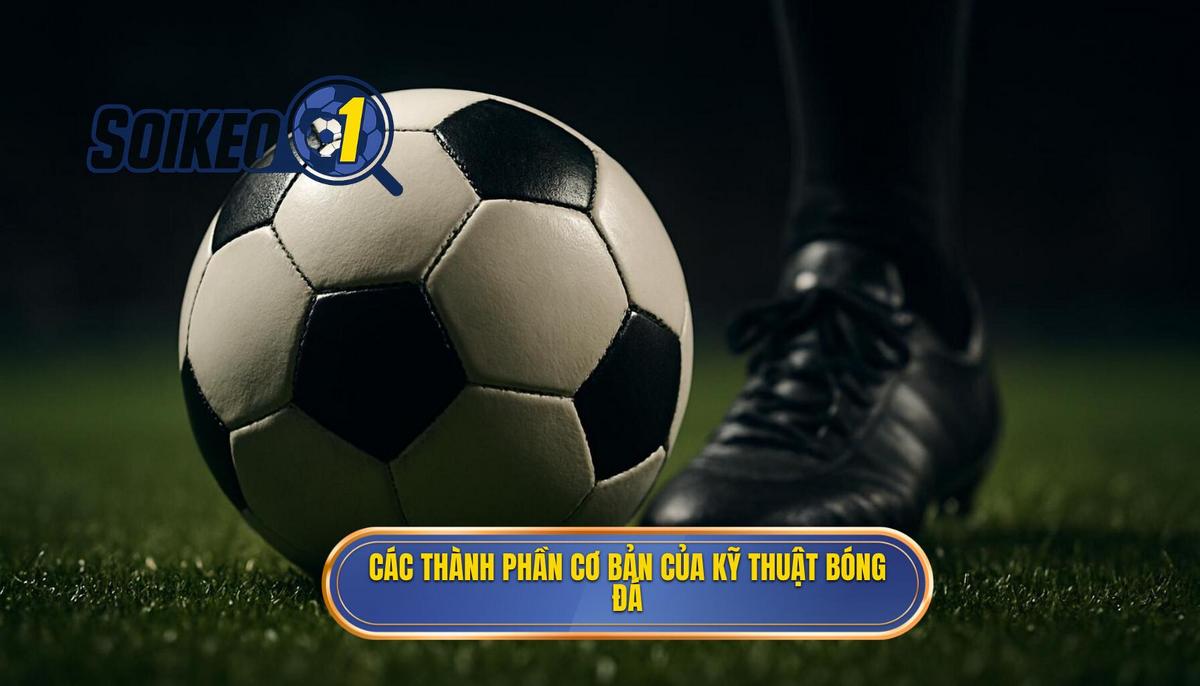 Các thành phần cơ bản tạo nên Kỹ thuật kiểm soát bóng ưu việt