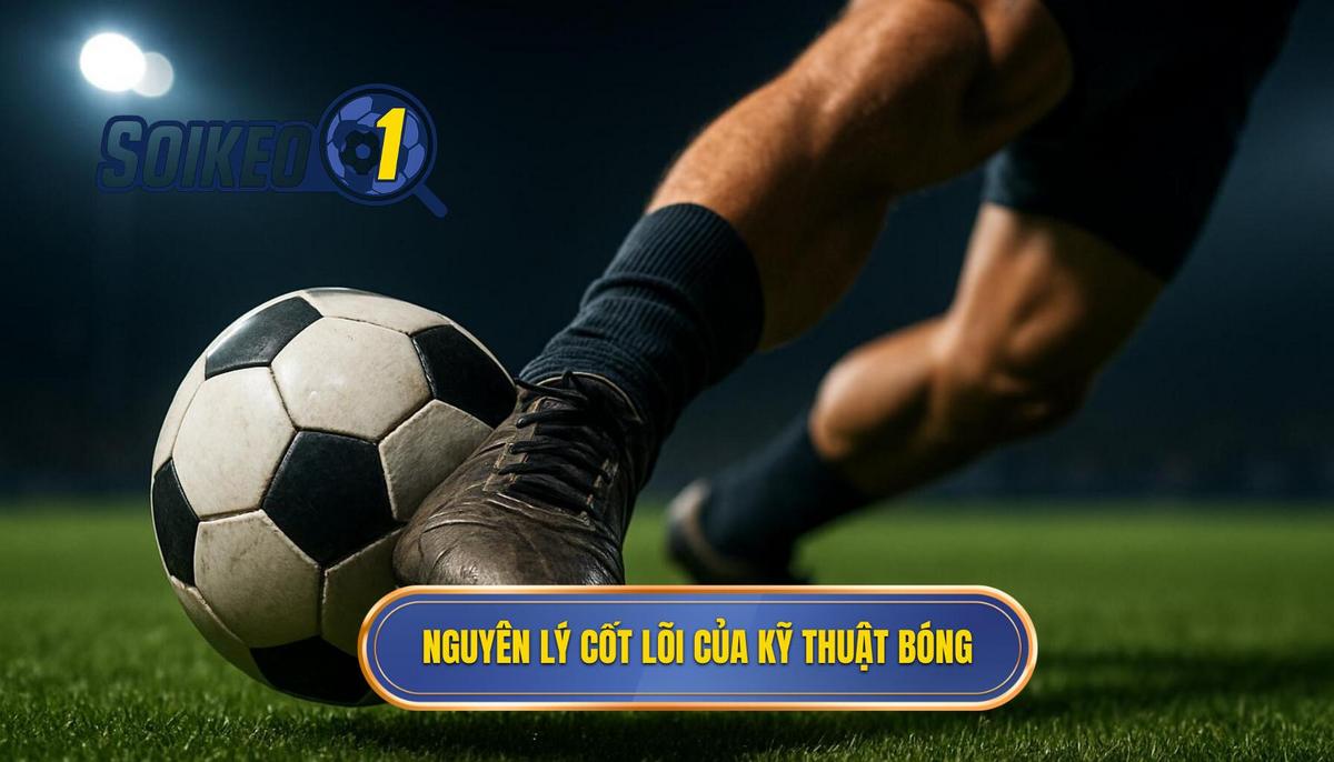 Nguyên lý cốt lõi của Kỹ thuật đánh chặn bóng