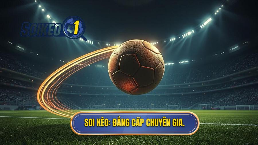 SOI KÈO_ Đẳng cấp chuyên gia.