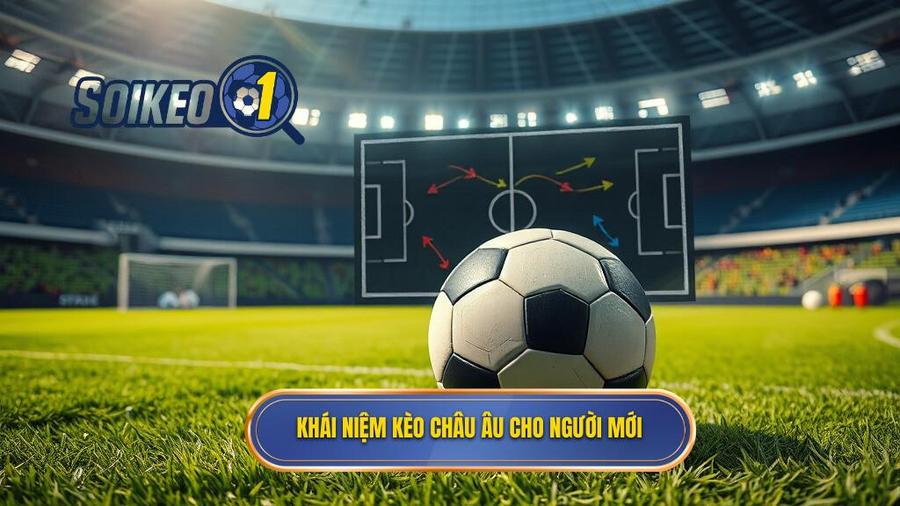 Khái niệm kèo Châu Âu cho người mới