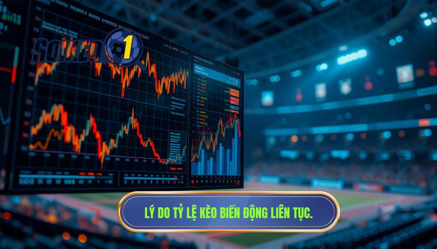 Lý do tỷ lệ kèo biến động liên tục